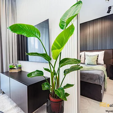 Baltic - Zielona Ostoja Apartamento