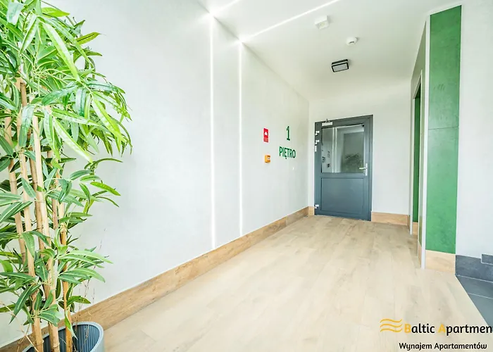 Baltic - Zielona Ostoja