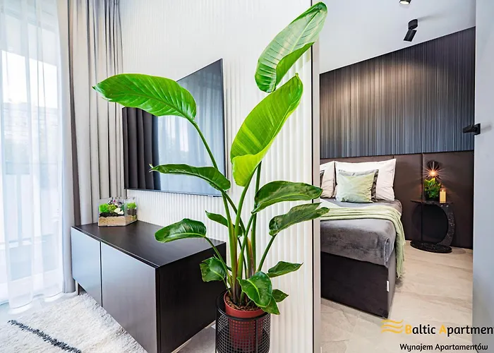 Baltic - Zielona Ostoja Apartmán